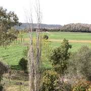 Campaments d'estiu amb Jordi Tonietti - els-planells-lallunacampaments.jpeg