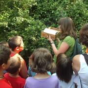 L'enigma del bosc de les goges