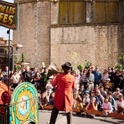 Flors i Violes Palafrugell - espectacle1.jpg