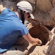 Jornades Europees d'Arqueologia