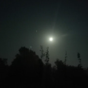 Nit de lluna a la Fageda