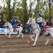 Fira de Sant Martirià - fira-sant-martiria_banyoles-western.jpg