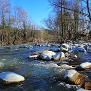 La Natura, a l’hivern - img_20200307_161015_web.jpg