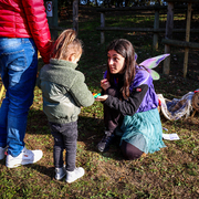 Market Castell de Palol - market-castell-palol-2-copia.jpg