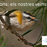 Activitats d'El Meandre