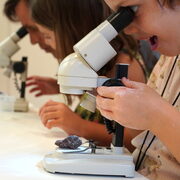 Roca o mineral? Aquesta és la qüestió!