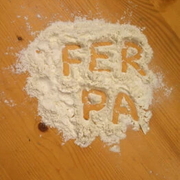 Descobrim el molí mentre fem pa!