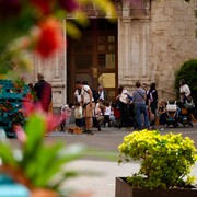 Festival Flors i Violes - tellfusta5.jpeg