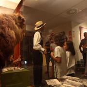 Anem de nit al museu amb el Sr. Darder