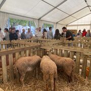 Fira de Sant Lluc 2025 - whatsapp-image-2023-10-16-at-15.43.39-14-1024x576.jpeg